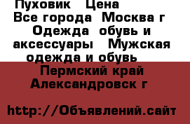 Пуховик › Цена ­ 2 000 - Все города, Москва г. Одежда, обувь и аксессуары » Мужская одежда и обувь   . Пермский край,Александровск г.